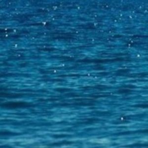 Meet your Posher, Hattie jo